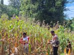 IMG-20260711-WA0013